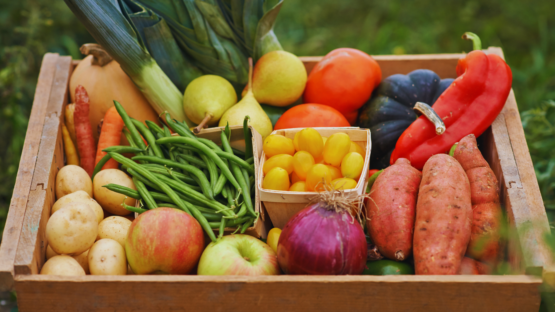 Contro lo spreco alimentare: l’appuntamento è il 5 febbraio 2025